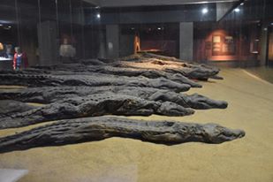 10348390_10205354292129695_3367021078764207548_n