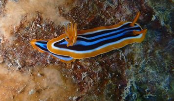 12321251_10205485341325843_1391543780121341921_n