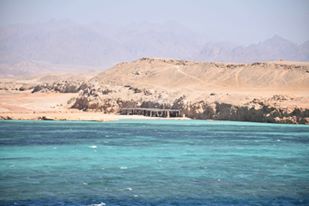 12439027_10205488121515346_1880440638636232186_n