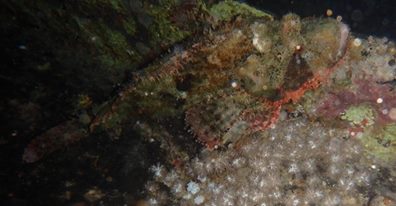 12932598_10205485364646426_6266684039286419311_n