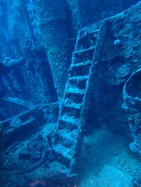 12933158_10205485361286342_5395995655726080721_n