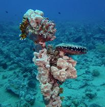 12936598_10205485289364544_1093424331707170359_n