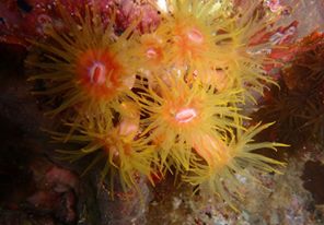 12938320_10205485373326643_2614930615034040174_n