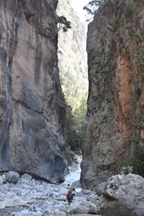 13043741_10205628281859267_1836372841578544404_n