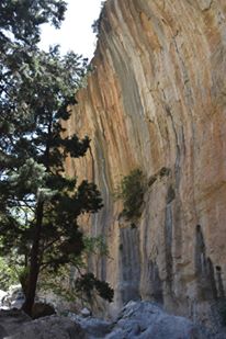 13062389_10205628269058947_6523147409817729369_n