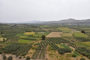 13096153_10205628222537784_8733778899014751747_n