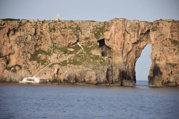 13112818_10205676204257297_3586057753682831057_o