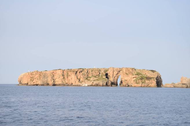 13115916_10205676191656982_4442855545029292409_o