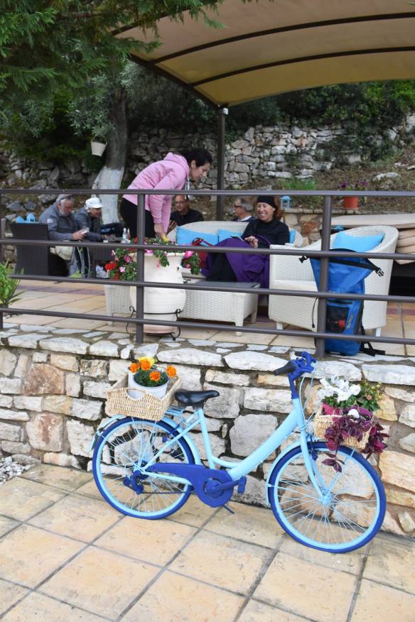 13119779_10205726142785729_6354544637342132223_o