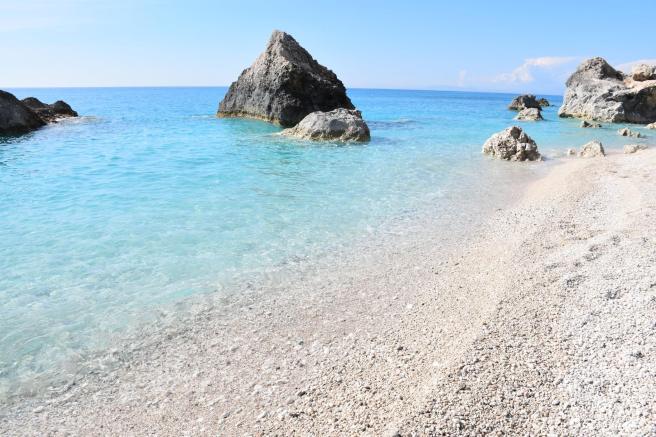 13173575_10205726169026385_736824508129752426_o