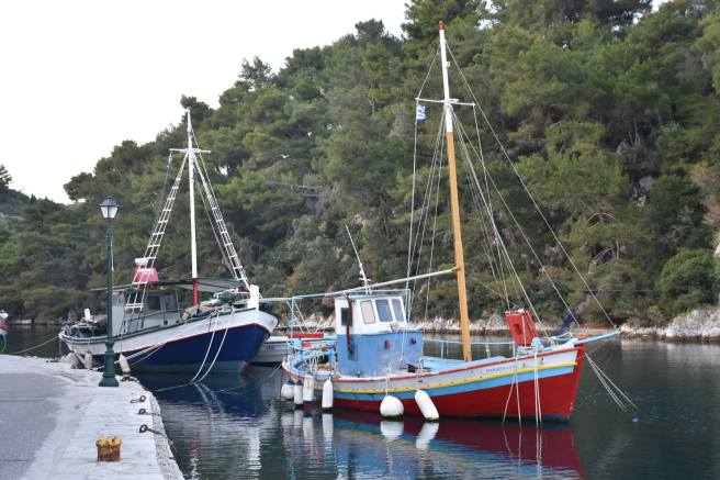 13227571_10205753885039268_8635571684587450727_o