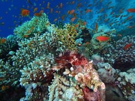 1936012_10205405835178239_7144808752882344171_n