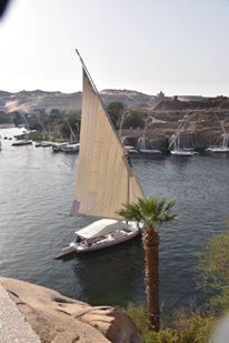 970473_10205354333570731_7931895287870436039_n