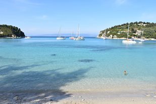 13226786_10205754074524005_2734774155119360647_n