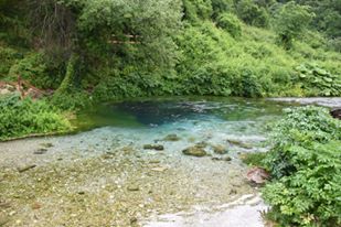 13230286_10205784917575062_1285446453507357864_n