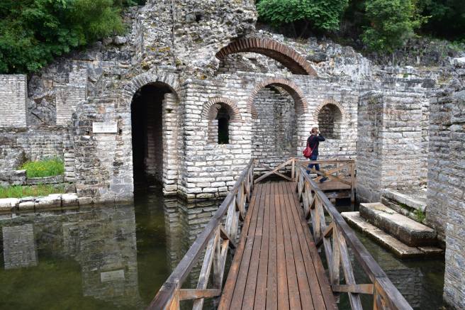 13235262_10205784915135001_7006965644093733453_o