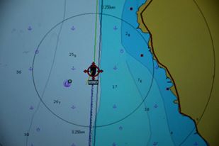 13256031_10205784910854894_5688880004967601544_n