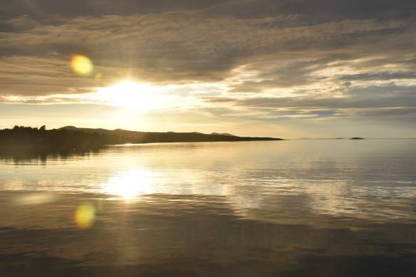 13301393_10205862436432985_1510217857961048396_o