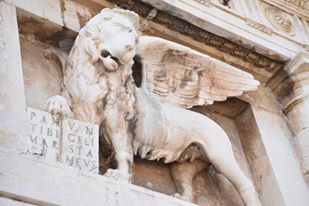 13312599_10205848929935331_1387001444668736071_n