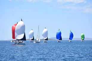 13312830_10205848923775177_2922788766211216683_n