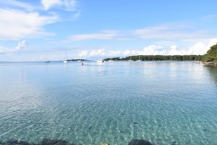 13332806_10205862436872996_3518623038098138016_n