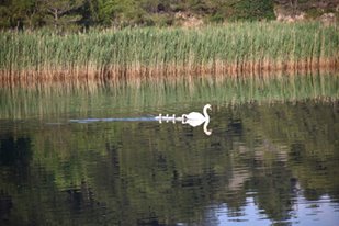 13335787_10205840403642179_3331757623451029055_n