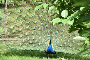 13342973_10205842986106739_1099408022636451063_n