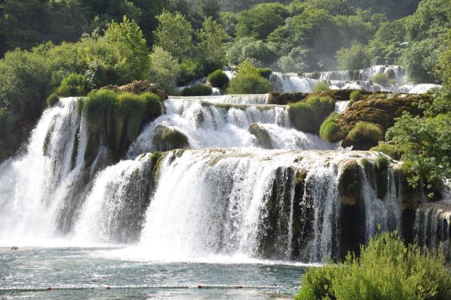 13346243_10205842984426697_7545531846444504562_o-2