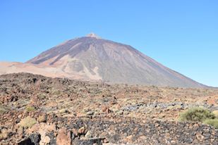 14449720_10206652526464742_7076528110085078716_n