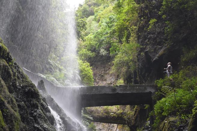 14556510_10206728484003633_5747169316130967388_o