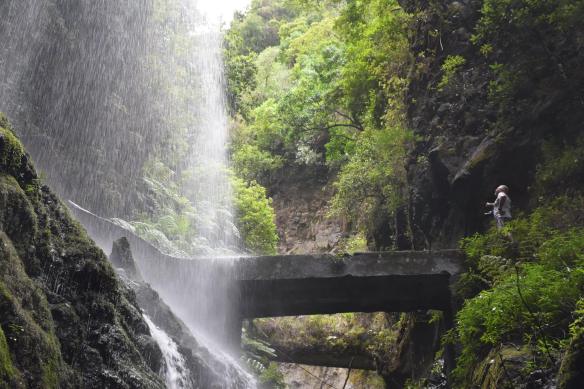 14556510_10206728484003633_5747169316130967388_o