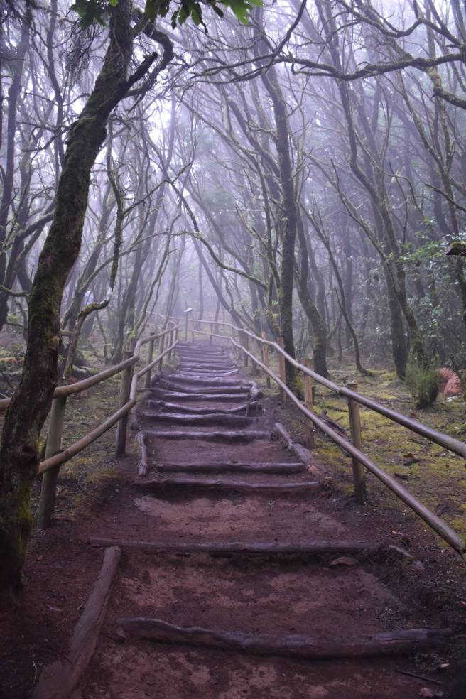 14556513_10206702258388009_2338417015279865307_o