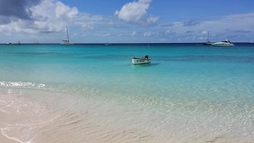 15267504_10207103537059725_7190857612757792791_n