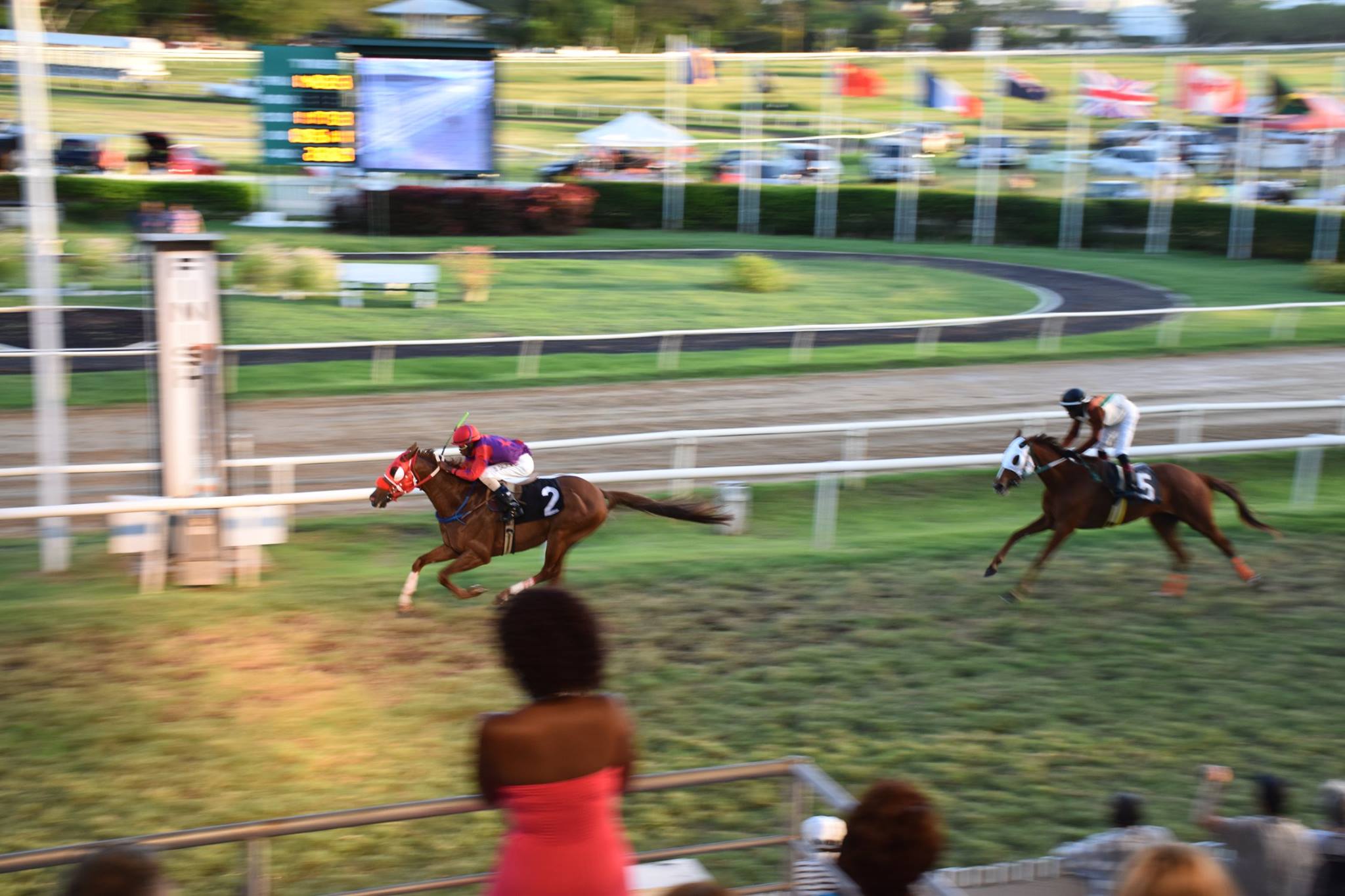 15800575_10207424596526011_7320671784783117428_o