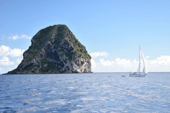 15972681_10207499337554490_6510118572772805398_o