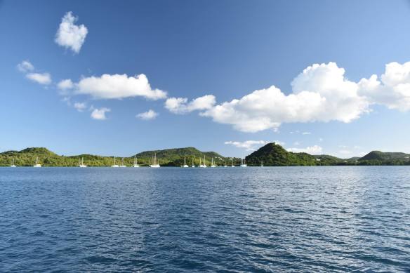 16113174_10207499154709919_7513810128727051998_o