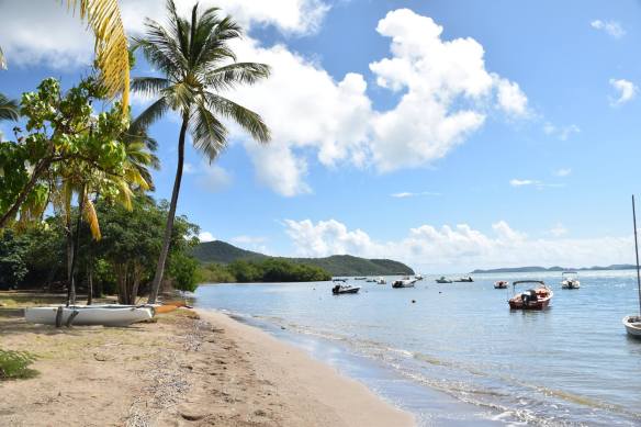 16300082_10207591238891966_5501430612103347852_o