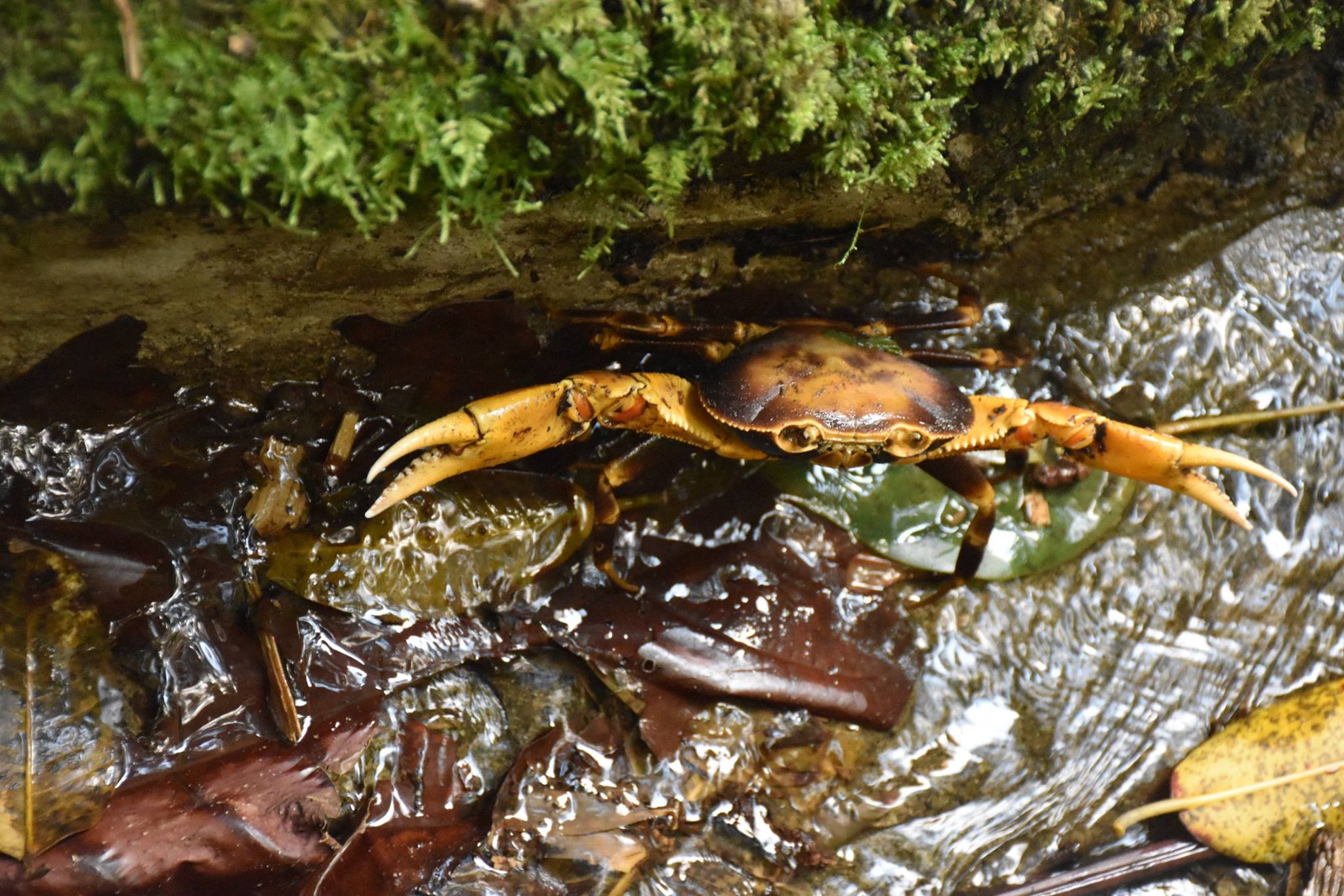 16463758_10207657104458564_3275607229741558657_o