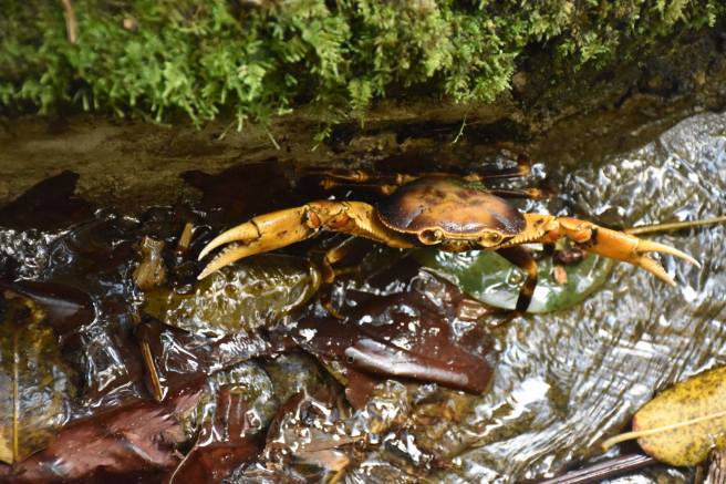 16463758_10207657104458564_3275607229741558657_o