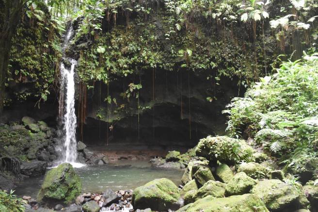 16463776_10207657101338486_6772094951958205204_o