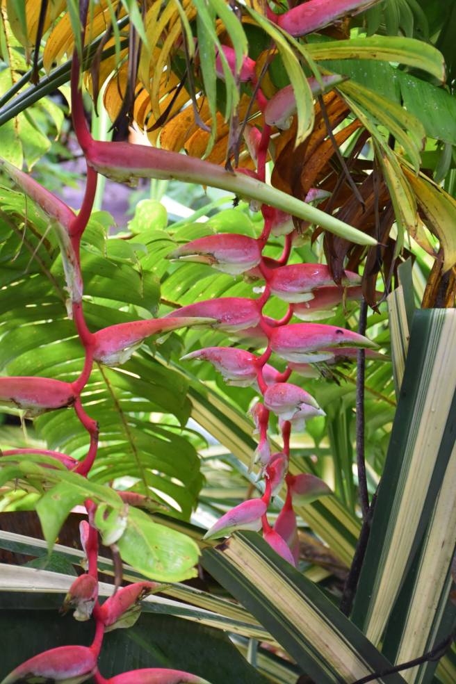 16463849_10207657123179032_5557369750102978249_o