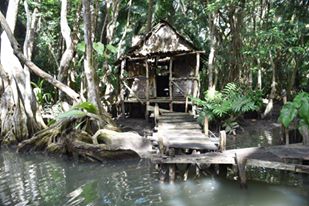 16473051_10207657115578842_4334812334138999594_n