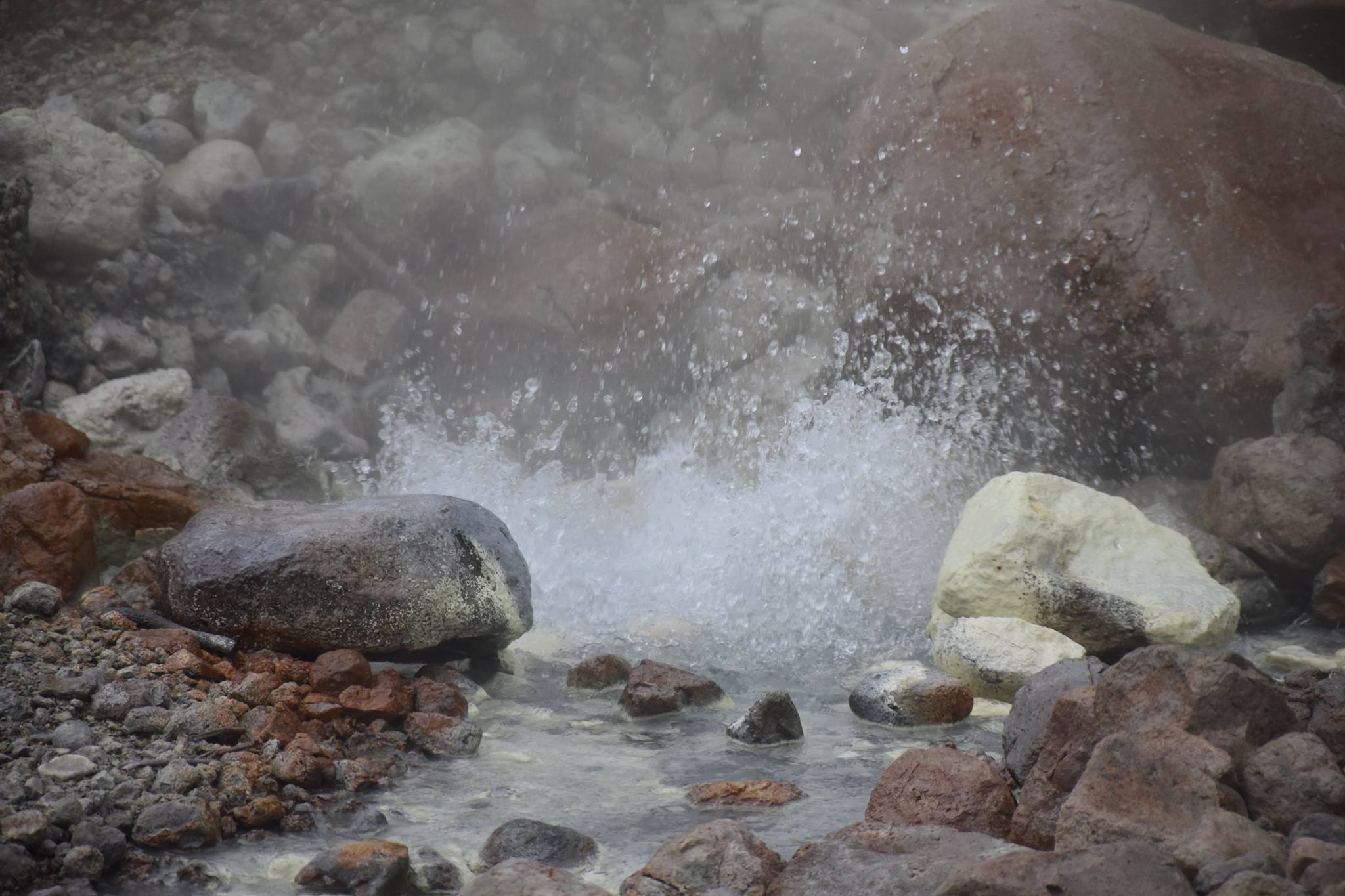 16487465_10207657094458314_6796981203416104959_o