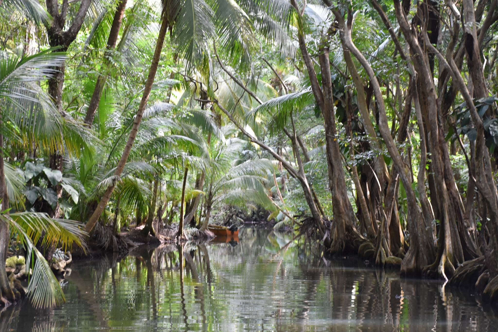 16487581_10207657119858949_8311313589623420956_o