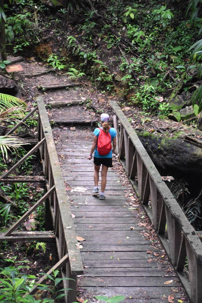 16665973_10207702940924447_7299769958329592734_o