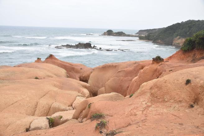 16707499_10207702933364258_3799149198076804618_o