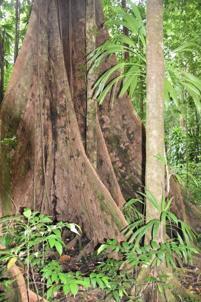 16722600_10207702942604489_4495396112085289800_o