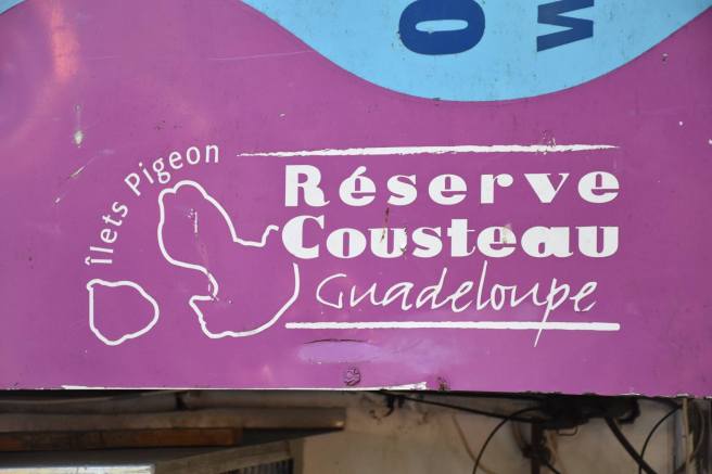 17015953_10207794841701909_5799066313189357348_o